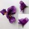 Květ iris 10 cm 