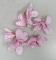 Květ sakura 5-7 cm růžový 