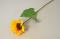 Slunečnice 47cm (květ:10cm) 