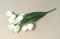 Tulipány kytice 5 květů 34 cm bílá 