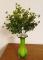 Umělý buxus 34 cm tmavě zelený 