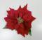 Vánoční hvězda květ ( poinsettia ) 18 cm, červená 