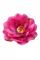 Vazbový květ leknínu 11 cm, tmavě růžový 